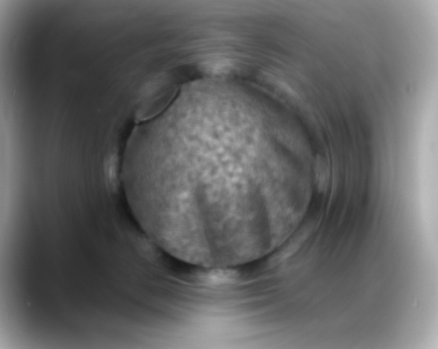 X0000088390670200706051118