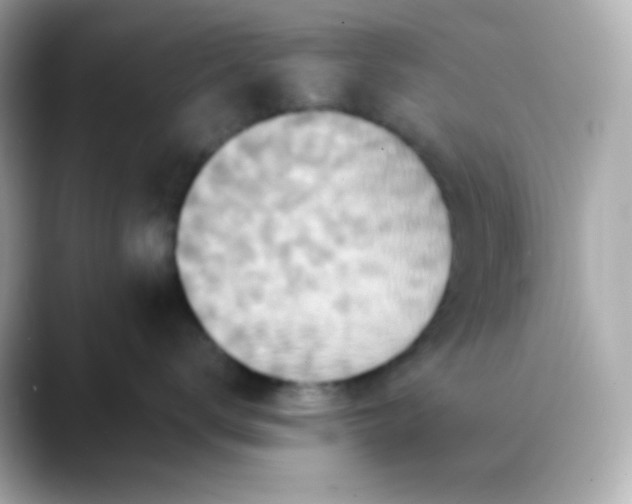 X0000088390672200706051118