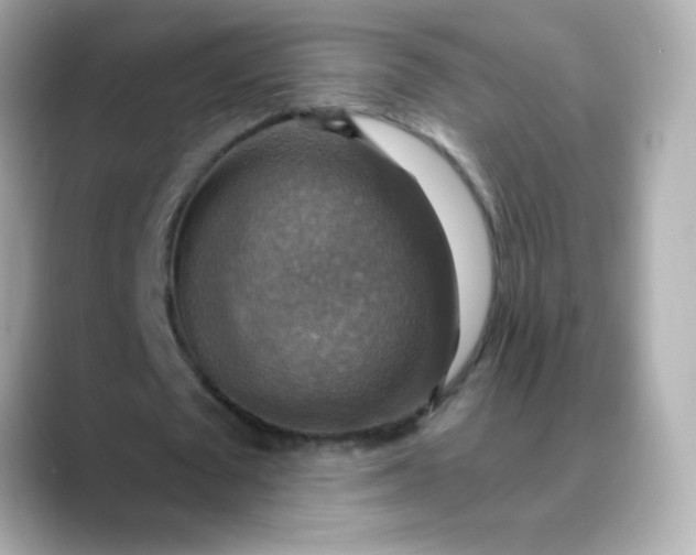 X0000088390673200706051118