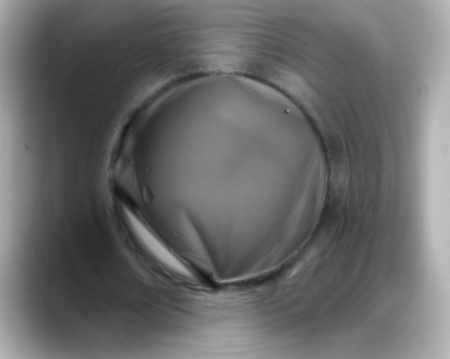 X0000088390674200706051118