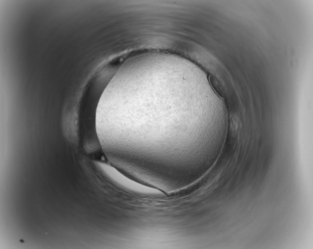 X0000088390676200706051118