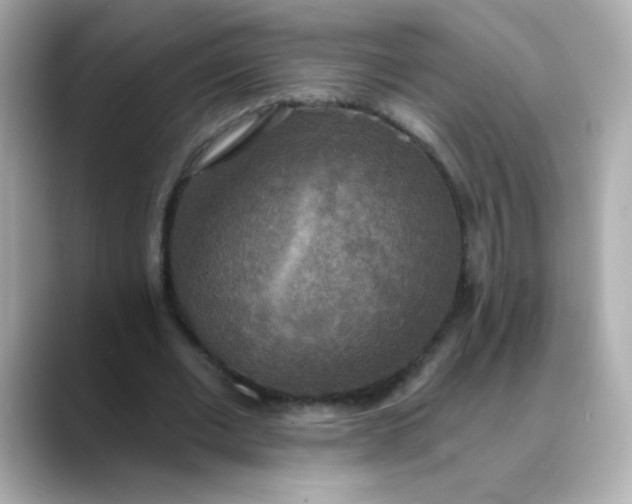 X0000088390677200706051118