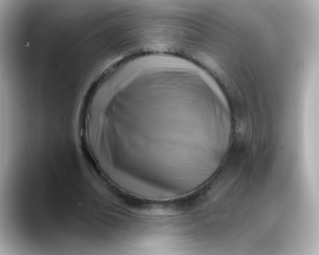 X0000088390678200706051118