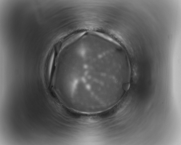 X0000088390679200706051118