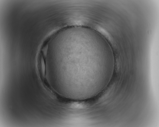 X0000088390680200706051118