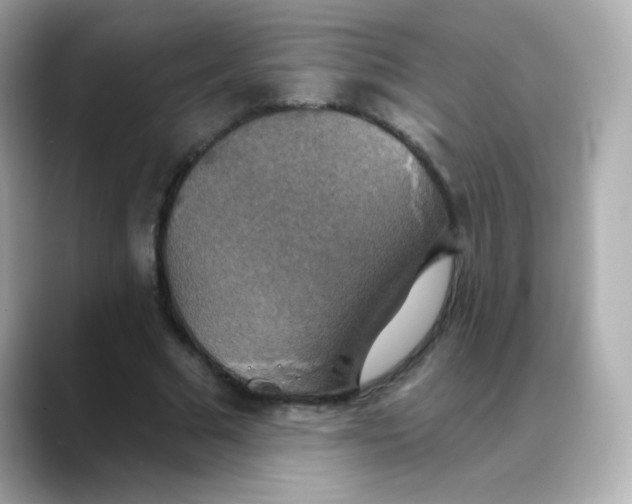 X0000088390681200706051118