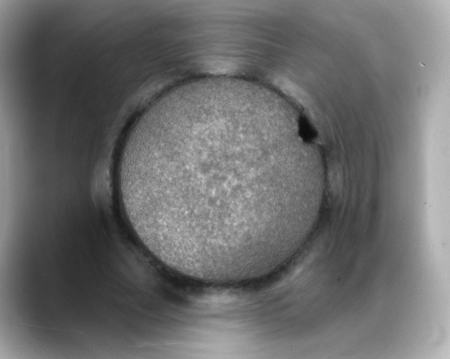 X0000088390682200706051118