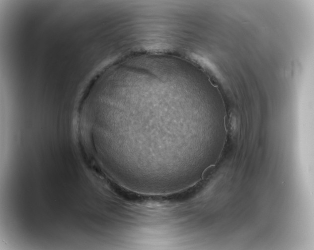 X0000088390684200706051118