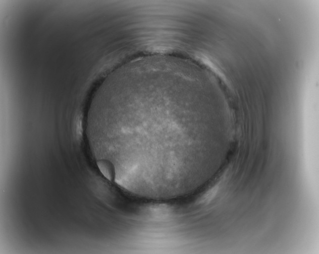 X0000088390685200706051118