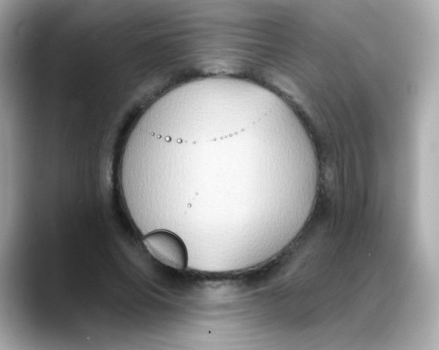 X0000088390686200706051118