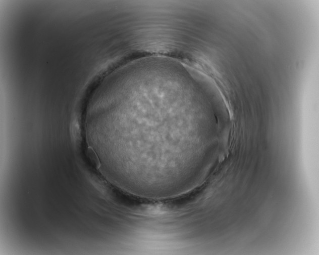 X0000088390688200706051118