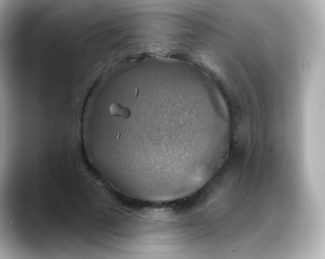 X0000088390689200706051118