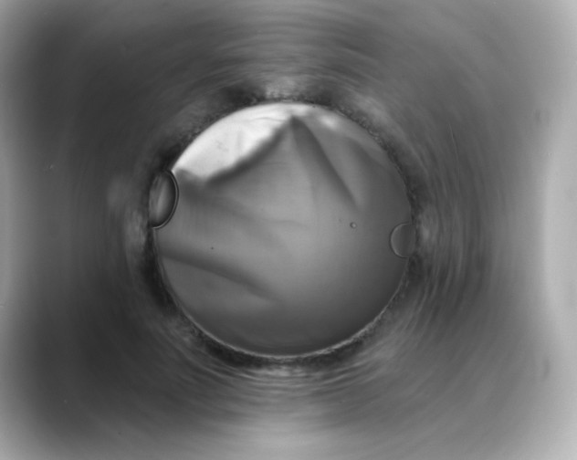 X0000088390691200706051118