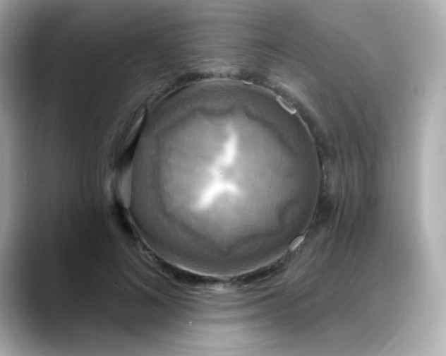 X0000088390692200706051118