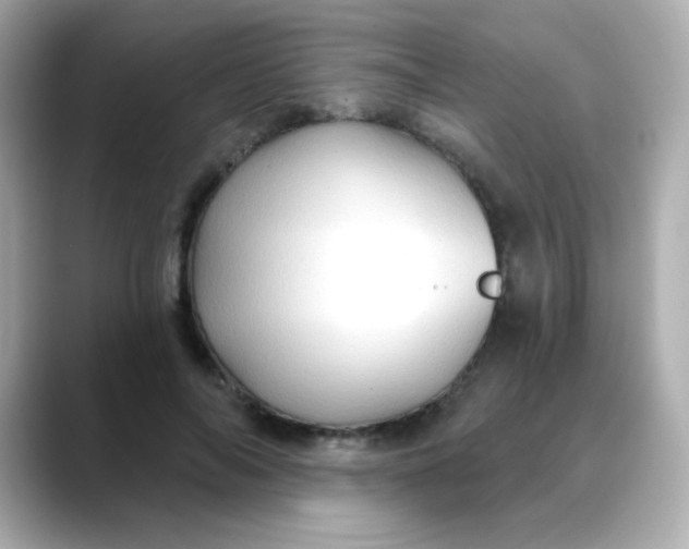 X0000088390694200706051118