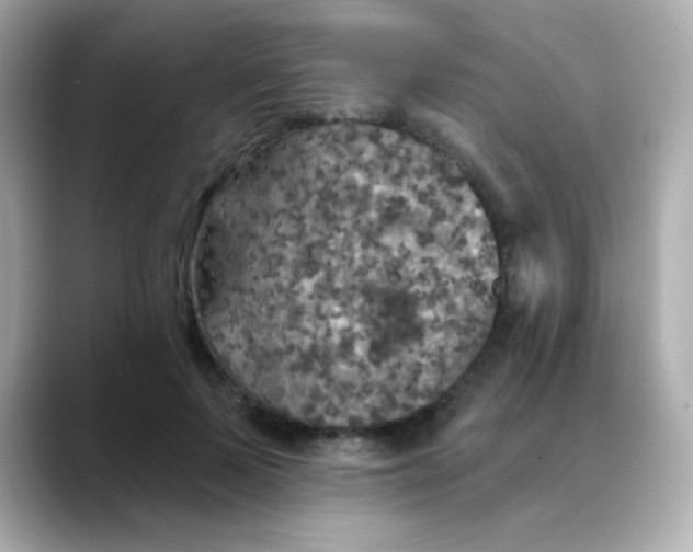 X0000088390695200706051118