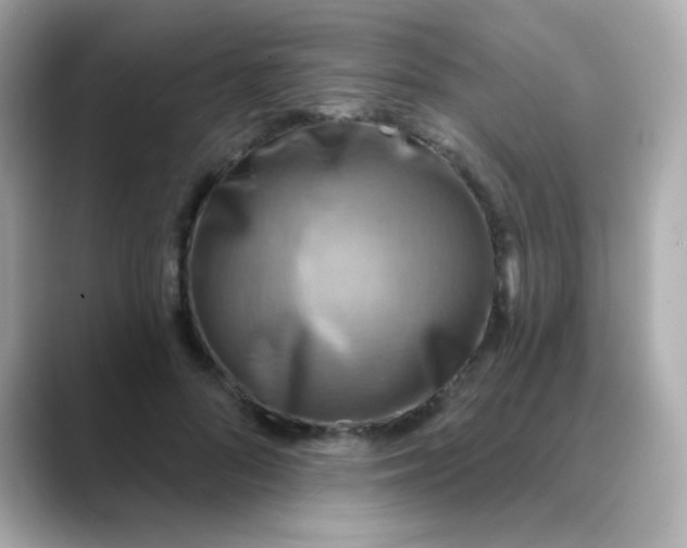 X0000088390696200706051118