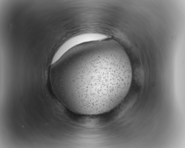 X0000088390697200706051118