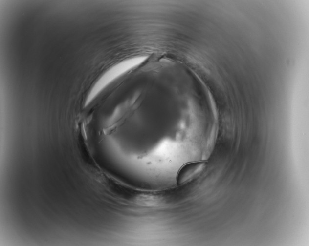 X0000088390699200706051118