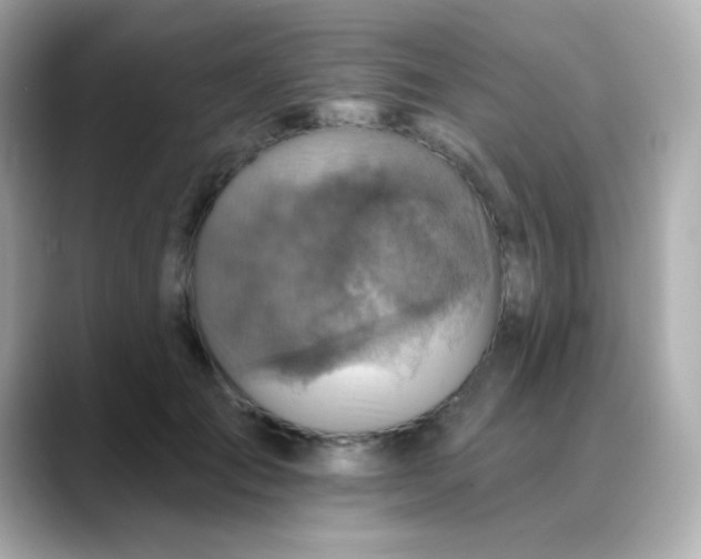 X0000088390701200706051118