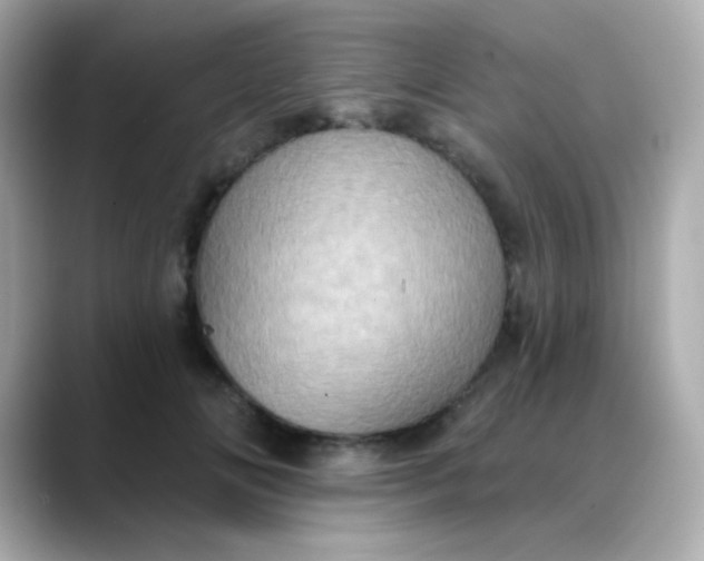 X0000088390702200706051118