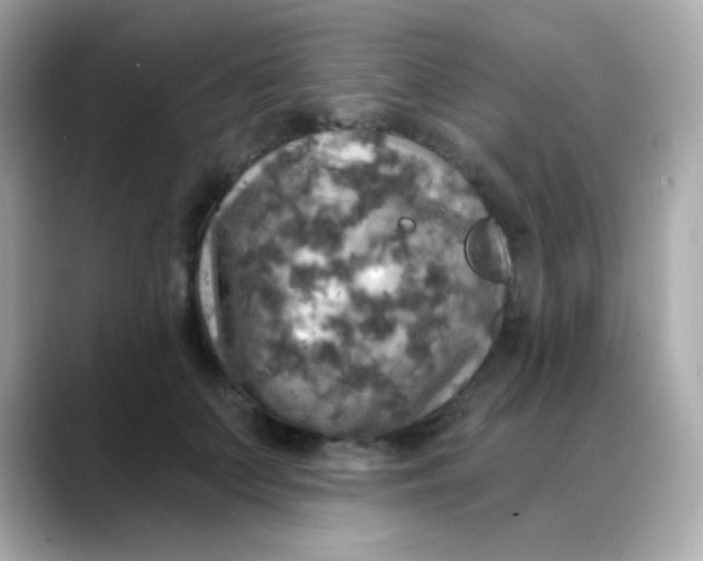 X0000088390703200706051118