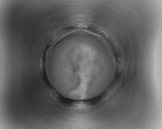 X0000088390704200706051118