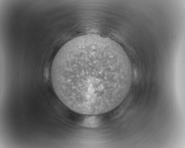 X0000088390705200706051117