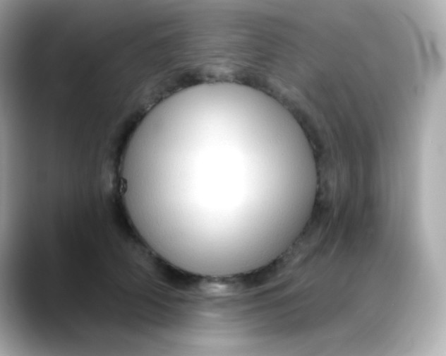 X0000088390706200706051117