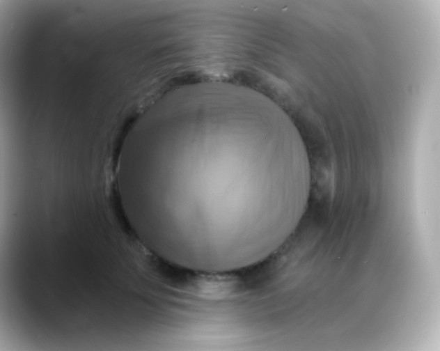 X0000088390707200706051117