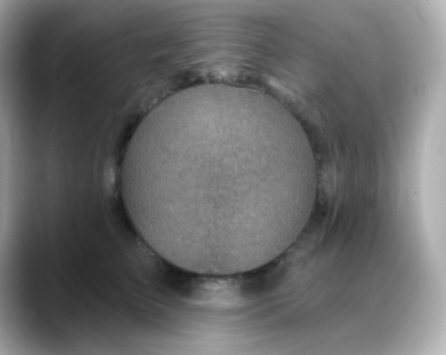 X0000088390709200706051117