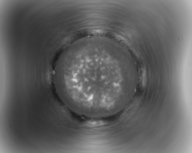 X0000088390712200706051117