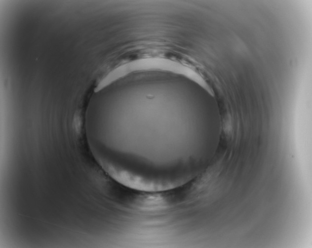 X0000088390715200706051117