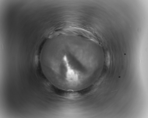 X0000088390716200706051117