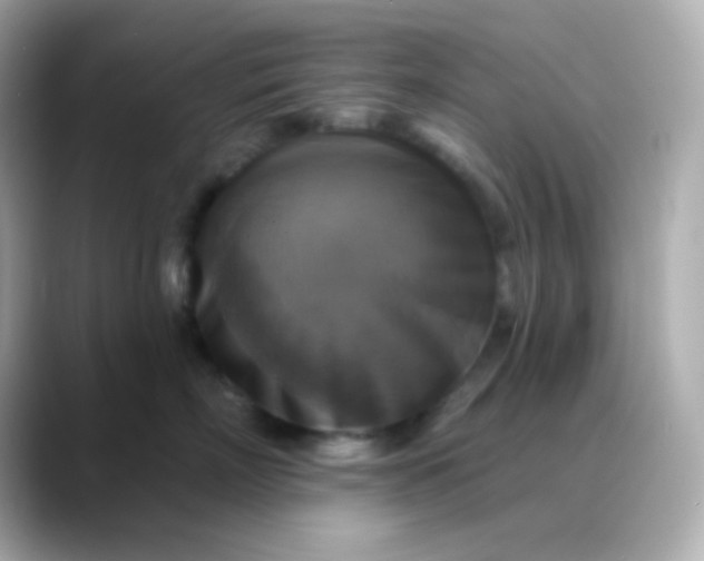 X0000088390718200706051117