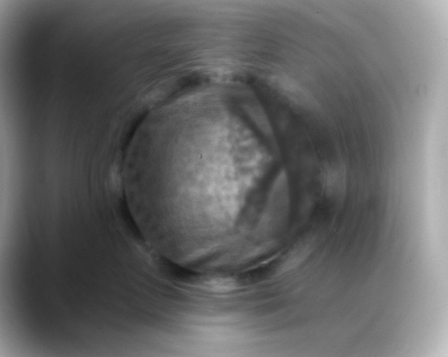 X0000088390719200706051117