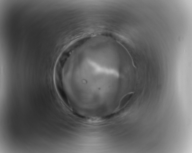 X0000088390720200706051117