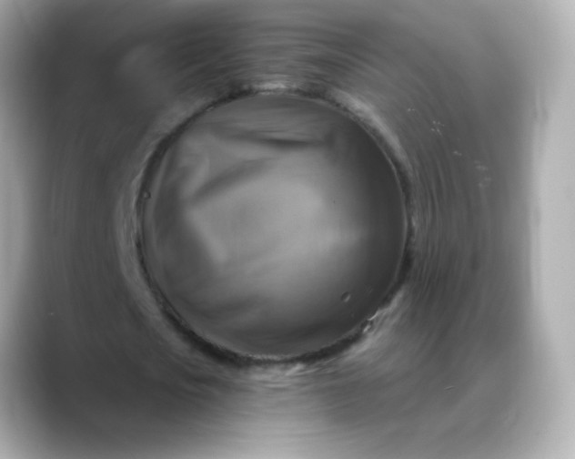 X0000088390721200706051117