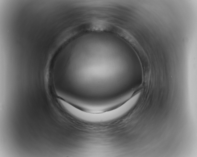 X0000088390722200706051117