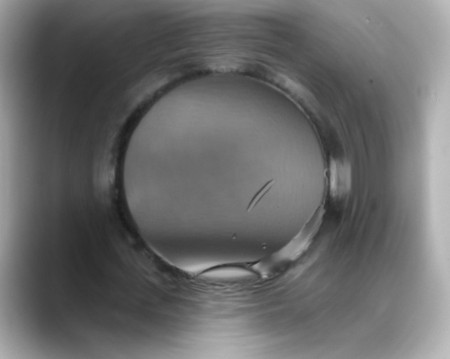 X0000088390723200706051117