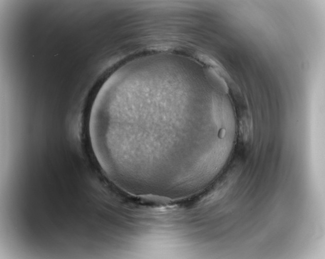 X0000088390724200706051117