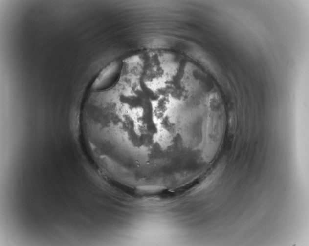 X0000088390725200706051117