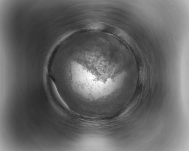 X0000088390726200706051117