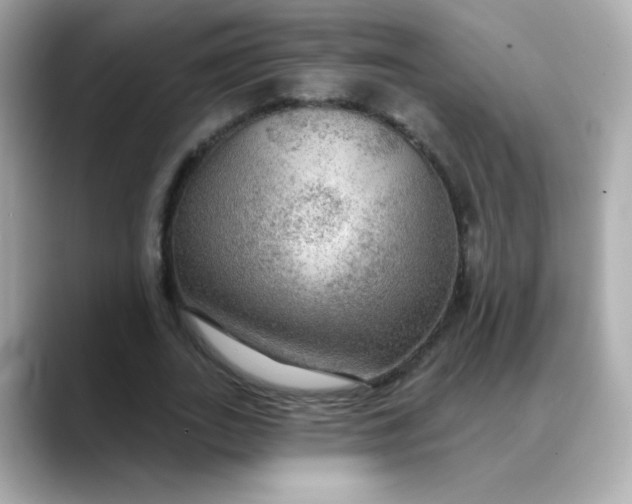 X0000088390727200706051117