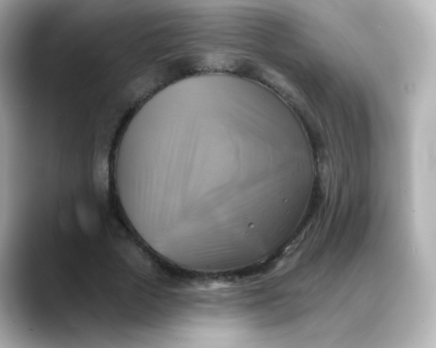 X0000088390729200706051117