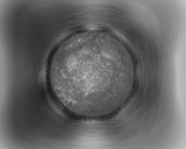 X0000088390730200706051117