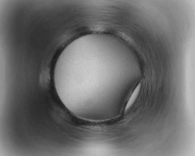 X0000088390731200706051117