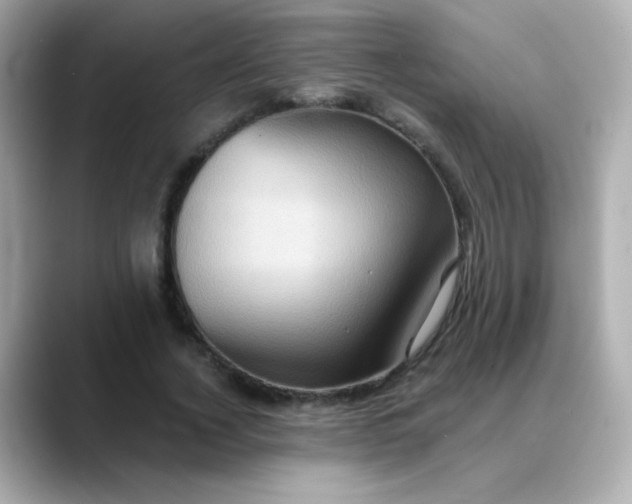 X0000088390732200706051117