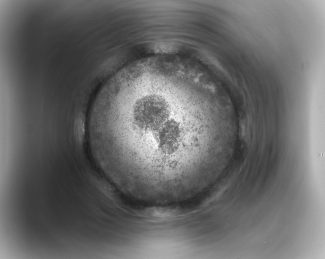 X0000088390733200706051117