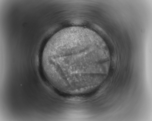 X0000088390734200706051117